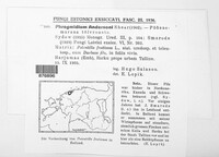 Image Associated With the Occurence